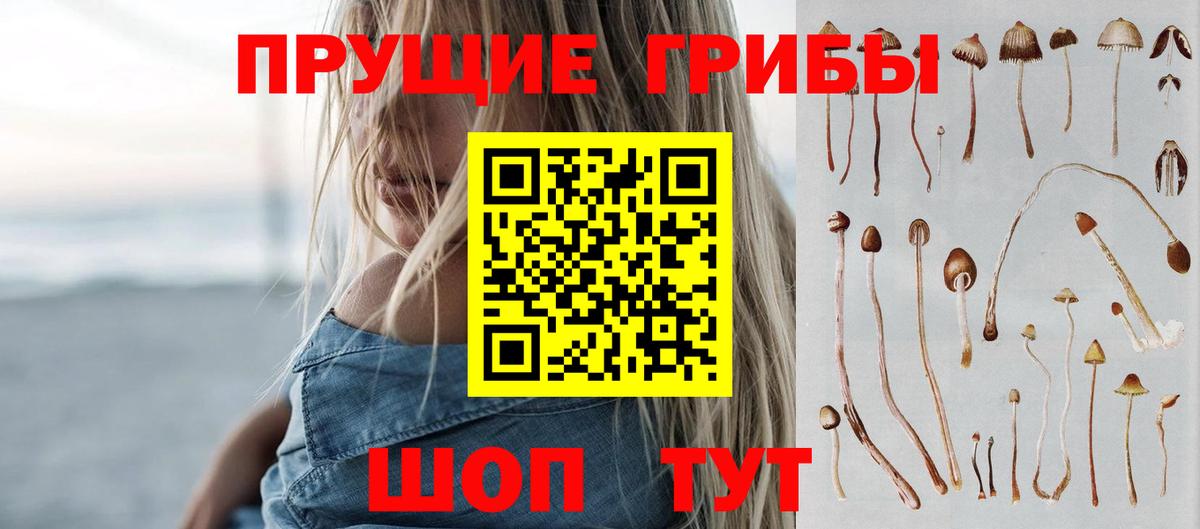 Зерноград  Галлюциногенные грибы Cubensis  Вход с VPN 