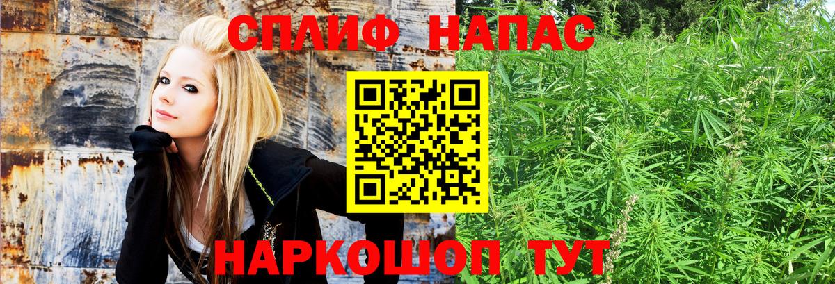 Зерноград  Шишки марихуана MAZAR  МАРИХУАНА планчик  Вход с VPN  Шишки марихуана Bruce Banner 